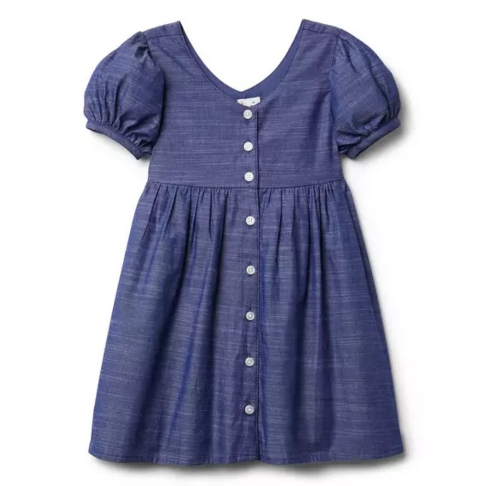 Janie and Jack Indigo Blue Button-Front Puff Sleeve Dress